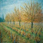 LES VIGNES EN PROVENCE - 1983 Huile sur toile, 61x50 cm. Coll. priv&eacute;e.jpg