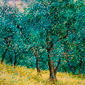 OLIVERAIE- 1986 Huile sur toile, 65x50 cm. Coll. priv&eacute;e USA.jpg